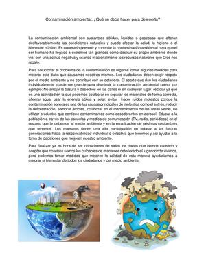 La Contaminacion Ambiental