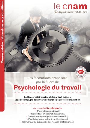 Psychologue Du Travail