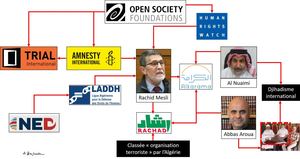 Organigramme explicatif de la relation entre « TRIAL International » et le djihadisme international