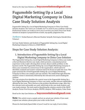 Fugumobile Setting Up A Local Digital Marketing Company In China Case Study Solution Analysis