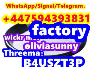 CAS 5449-12-7 BMK Glycidic Acid (sodium salt) BMK powder