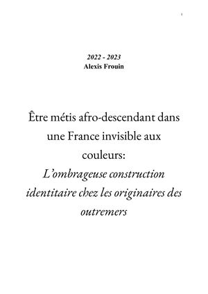 Être  métis afro-descendant dans une France invisible aux couleurs: L’ ombrageuse construction identitaire chez les originaires des outremers
