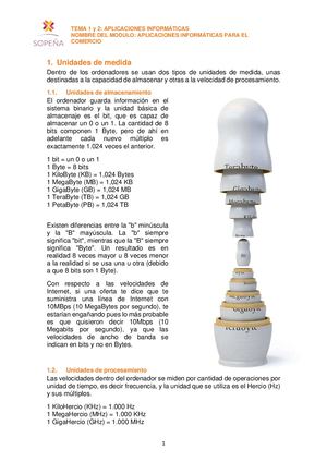 Tema 1 Y 2 Aplicaciones Informáticas