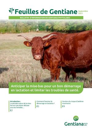 Feuilles De Gentiane Septembre2023