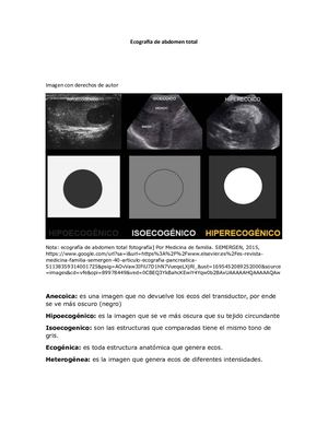 Ecografía De Abdomen Total (1)