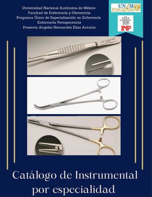 Catalogo transplante renal