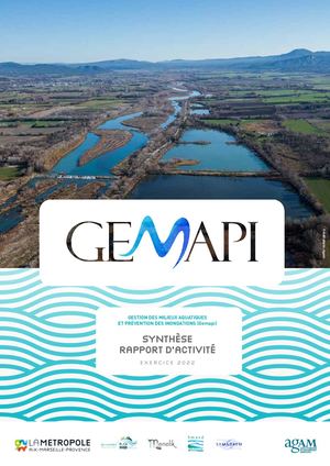 Gemapi Synthèse Web
