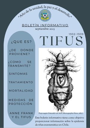 boletin informativo Tifus