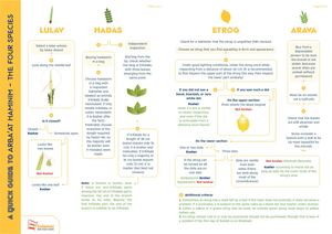 Rav Rimon - Quick Guide to Arba'at HaMinim
