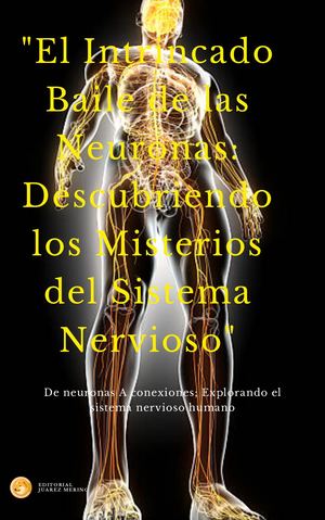 Portada De Libro Diseño Gráfico Blanco Y Gris Claro