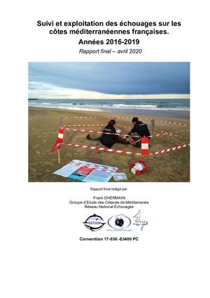 Suivi et exploitation des échouages sur les côtes méditerranéennes françaises. Années 2016-2019
