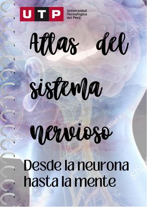 Atlas Del Sistema Nervioso