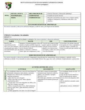 ESCUELA NUEVA CON SUS GUIAS