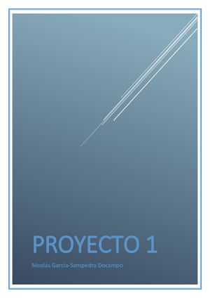 Proyecto 1 Sein Nicolás G Sampedro