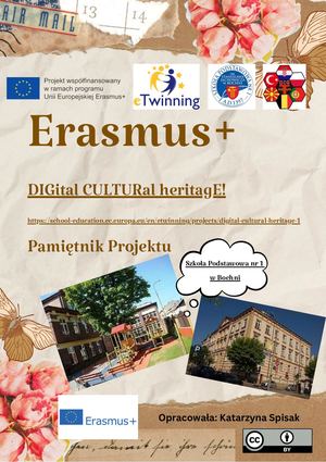 Polish Project Diary