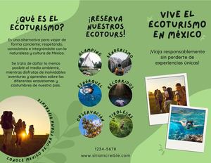 Tríptico Agencia De Viajes Saturado Verde