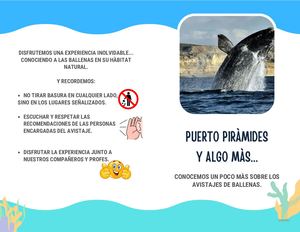 Folleto Avistaje De Ballenas