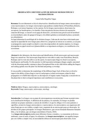 Observación E Identificación De Hongos Microscópicos Y Macroscópicos