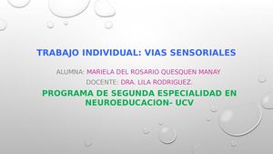 IMAGENES DE VIAS SENSORIALES