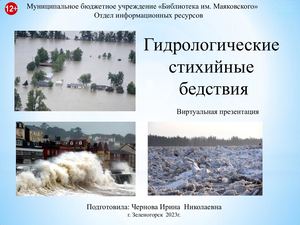 Гидрологические стихийные бедствия. Виртуальная презентация