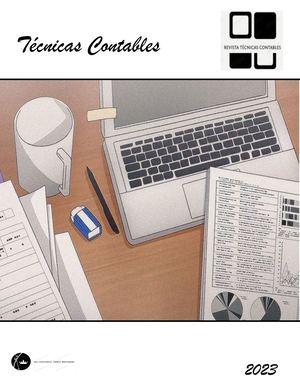 Técnicas Contables