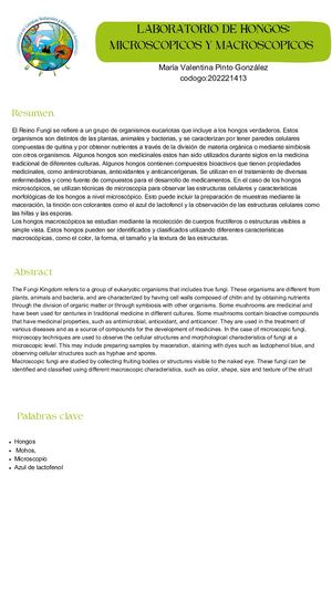 hongos microscopicos y macroscopicos