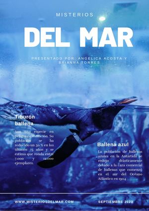 Portada De Revista Océanos Mar Minimalista Azul