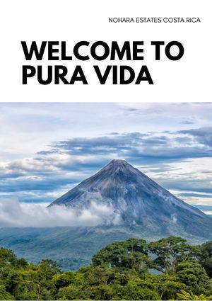 Welcome to Pura Vida