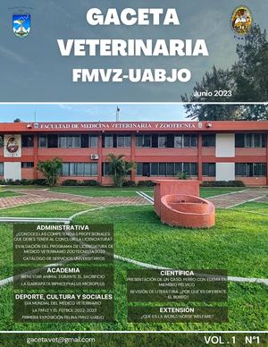 Gaceta Volumen 1 N° 1