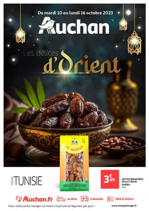 Bat Auchan Centre 2 Orient V3