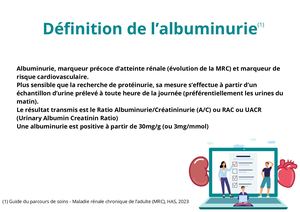 Définition De L'albuminurie