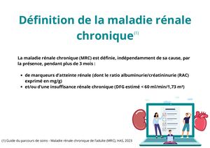 Définition De La Maladie Rénale Chronique (Mrc)