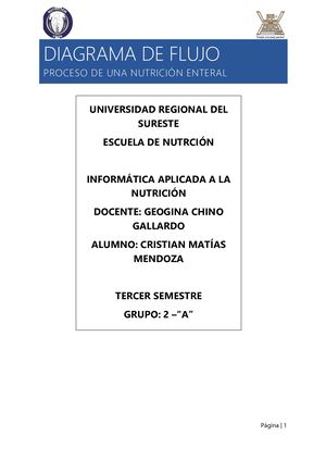Diagrama De Flujo Nutricon Enteral