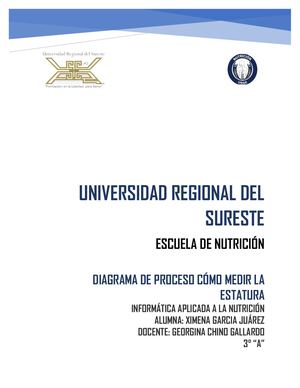 Diagrama De Proceso Cómo Medir La Estatura