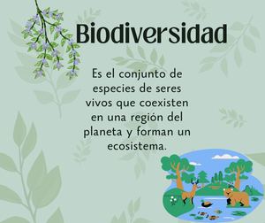 Biodiversidad