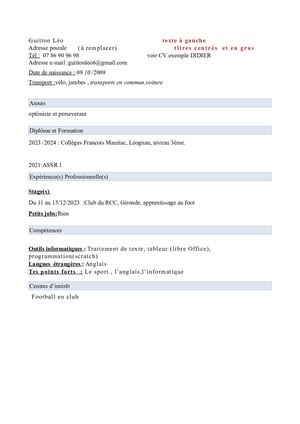 Cv Léo Guitton