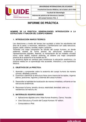 INFORME DISECCION VIRTUAL