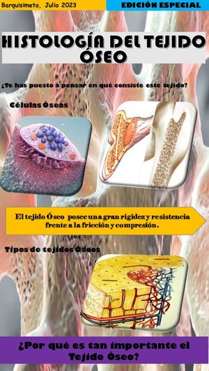 Histología Del Tejido Oseo