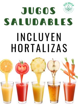 RECETAS SALUDABLES CON HORTALIZAS