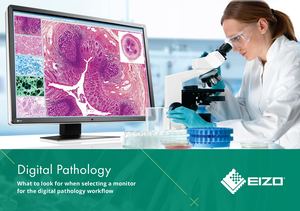 Digital Pathology Guide 2024