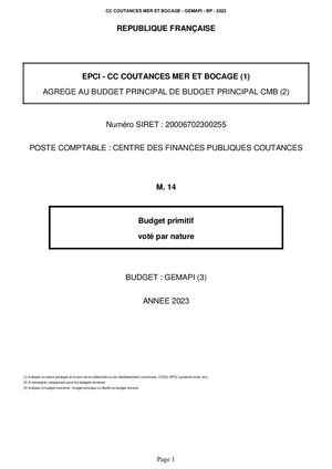 BUDGET PRIMITIF 2023 - GEMAPI