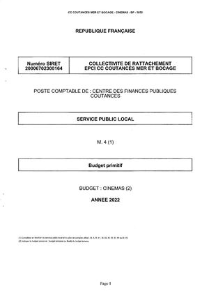 BUDGET PRIMITIF 2022 - CINÉMAS