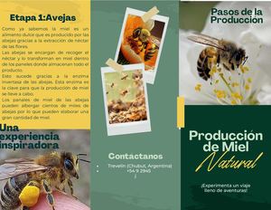 Folleto Triptico Toro Micaela Trevelin