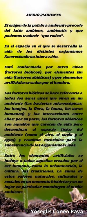 Medio Ambiente
