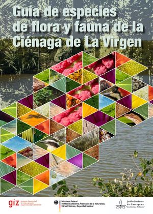 171219 Guia Especies