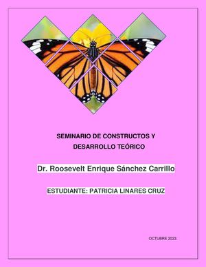 SEMINARIO DE CONSTRUCTOS Y DESARROLLO TEÓRICO