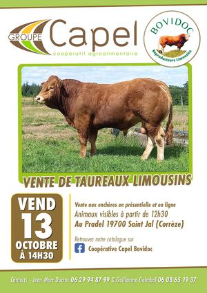 Catalogue Vente St Jal Oct 2023