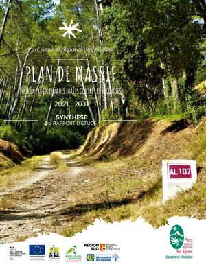 Plan de massif - Sythèse du rapport d'étude