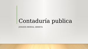 Contaduria Publica