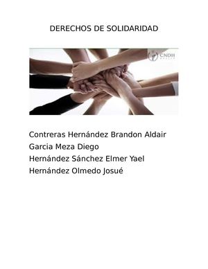 Derechos De Solidaridad